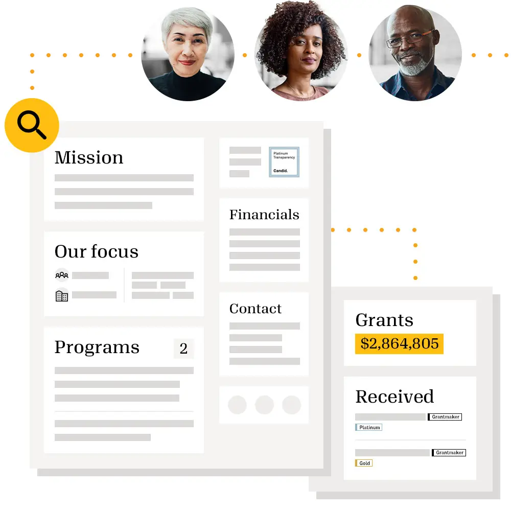 individuals accessing data on nonprofits and grants