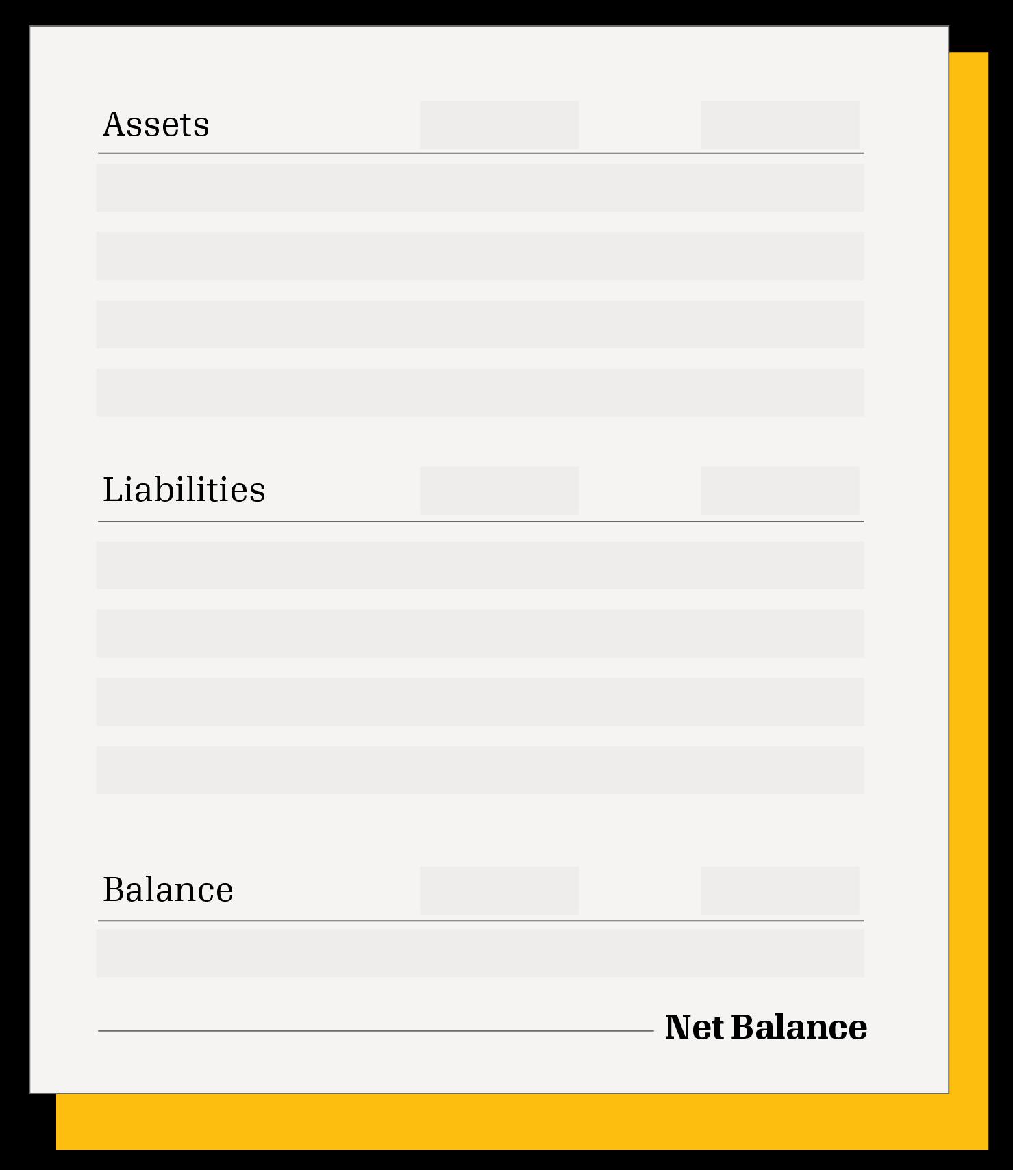 Organization balance sheet financial data